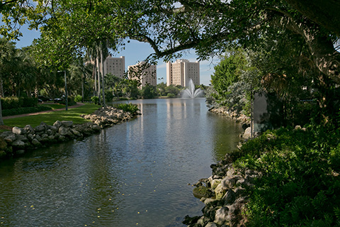 Lake Osceola at the University of Miami